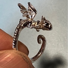 ドラゴンの指輪〈久〉の画像