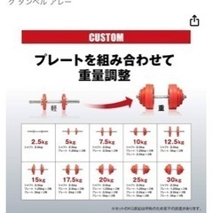 IROTECラバー ダンベル 60KG セット （お届け可）の画像