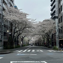 活動日：4月13日(土) 19回目 - 中野区