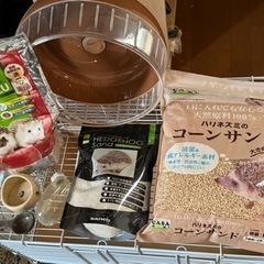【最終値下げ】小動物　飼育セット ゲージetc(ハリネズミ）
