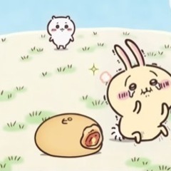 趣味の話や雑談など