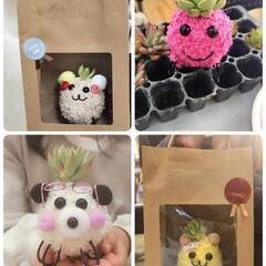 自分好みに作って育てる苔玉モスペット👻ハロウィン - 平塚市