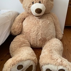 【ほぼ未使用品】コストコ　ベアーの画像