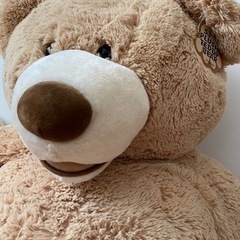 【ほぼ未使用品】コストコ　ベアー