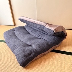 ニトリ　カジュアルソファの画像