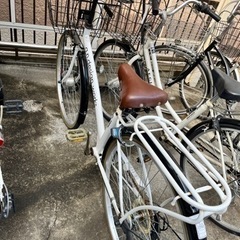 お譲り決定