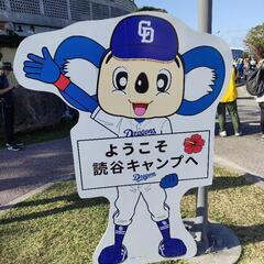 関西在住中日ドラゴンズファン！