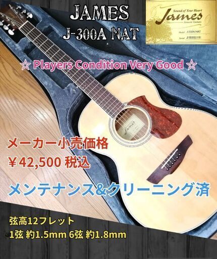 James J-300A NAT アコースティックギター 6弦 James J-300A NAT