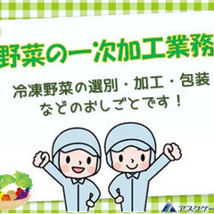 未経験大歓迎◎前払いあり！野菜を加工するだけ☆カンタン作業