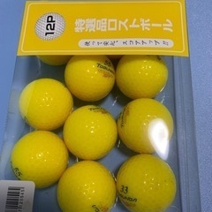 ゴルフボール　ロストボール