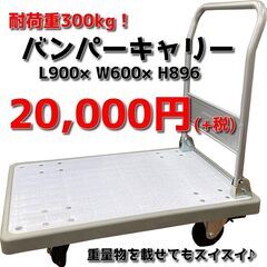【新古品】ストッパー付きバンパーキャリー 手押し台車の画像