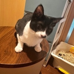 生後7ヶ月