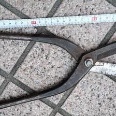 小角波ハサミの画像