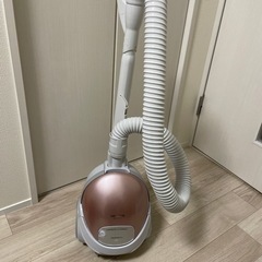 家電 生活家電 掃除機