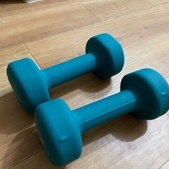 スポーツ フィットネス、トレーニング