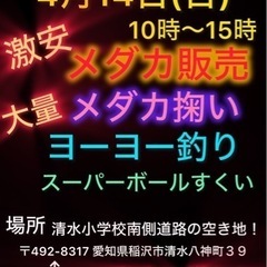 メダカ販売！　メダカ掬い！