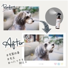 グルーミング　スプレー　犬　猫の画像