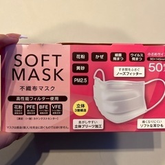 マスク 残45枚程