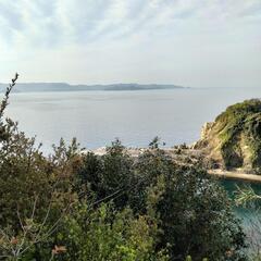 和歌山　有田市　矢櫃　一軒家賃貸　毎日　部屋から海が観えます。釣りができます。新しいお魚がてにはいります。 - 不動産