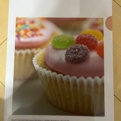 【0円】未使用　クリアファイル　2枚