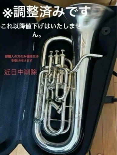 楽器 管楽器、笛、ハーモニカ