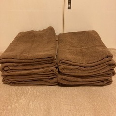 バスタオル　10枚セット
