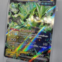ポケモンカード/ポケカ テツノイバラex 未来 RR 2枚セット
