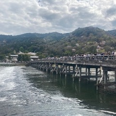 旅行友達❤️ - 友達