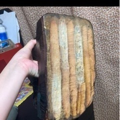 昭和52年 北海道 木彫り レトロ 熊 置物の画像