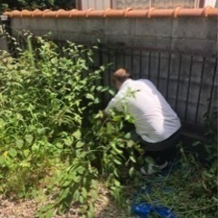 ☆岐阜中心‼️草刈り作業お安くやります☆ − 岐阜県