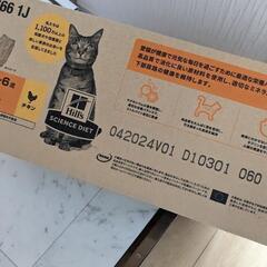 ヒルズ　猫　キャットフードの画像