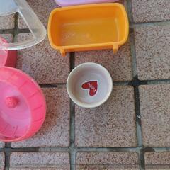 ハムスター用品の画像