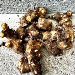 食品