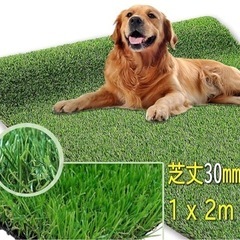 人工芝 1m×2m高密度30㎜丈ロール　新品ですの画像