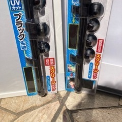 スポーツ スキーの画像