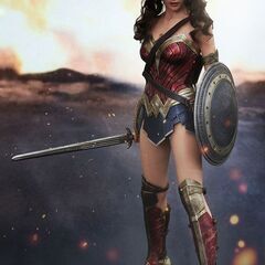 新品未開封 Hot toys (ホットトイズ) バットマン vs...
