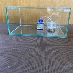 ガラス水槽セット　30cmロー水槽