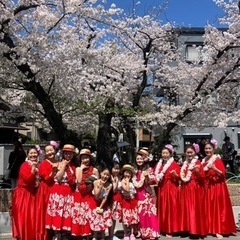 フラダンス生徒募集中‼️ 大阪市東淀川区井高野