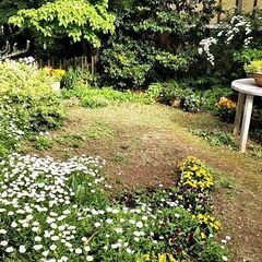 ピアノ教室　生徒募集！の画像