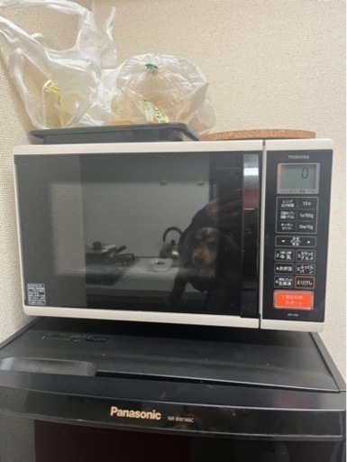 早い物勝ち‼️