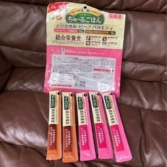 わんちゃんのご飯の画像