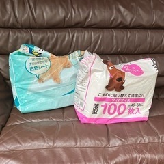 わんちゃんのご飯の画像