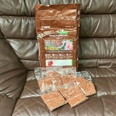 わんちゃんのご飯の画像