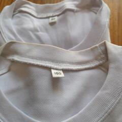 【値下げ！】体操服　半袖、長袖　140.150の画像