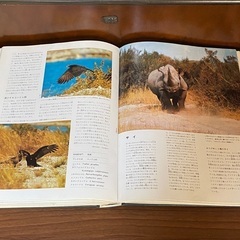 『予約済』【無料】図鑑　アニマルライフ　動物の大世界百科（古本）の画像