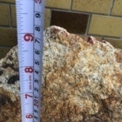 大きい石　花崗岩？　重さ22kgほど　アクアリウム　ガーデニング　庭石　標本の画像