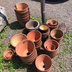 植木鉢　家庭用品 ガーデニングの画像