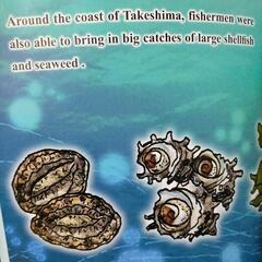 ★新品★  絵本 『メチのいた島』の英文訳版の画像