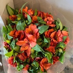 生花 アルストロメリア・サーモンインテンス10本