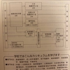 資格から仕事へ　看護+医療🏥の画像
